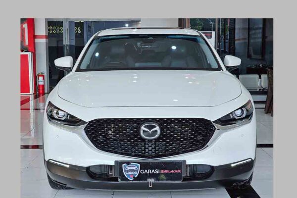 CX 30 GT